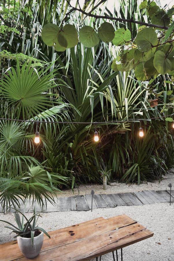Amor Rooms Tulum Exteriör bild