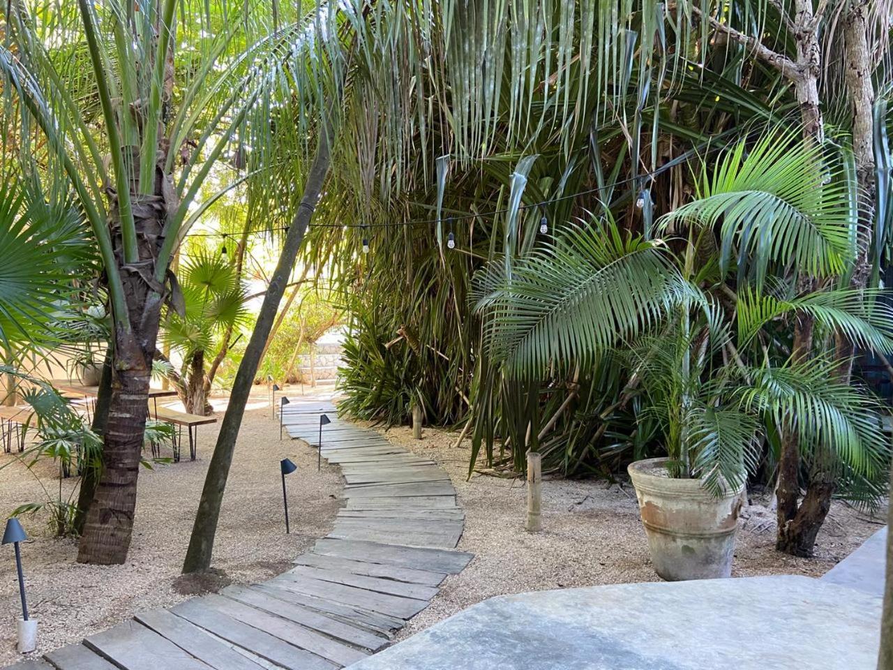Amor Rooms Tulum Exteriör bild