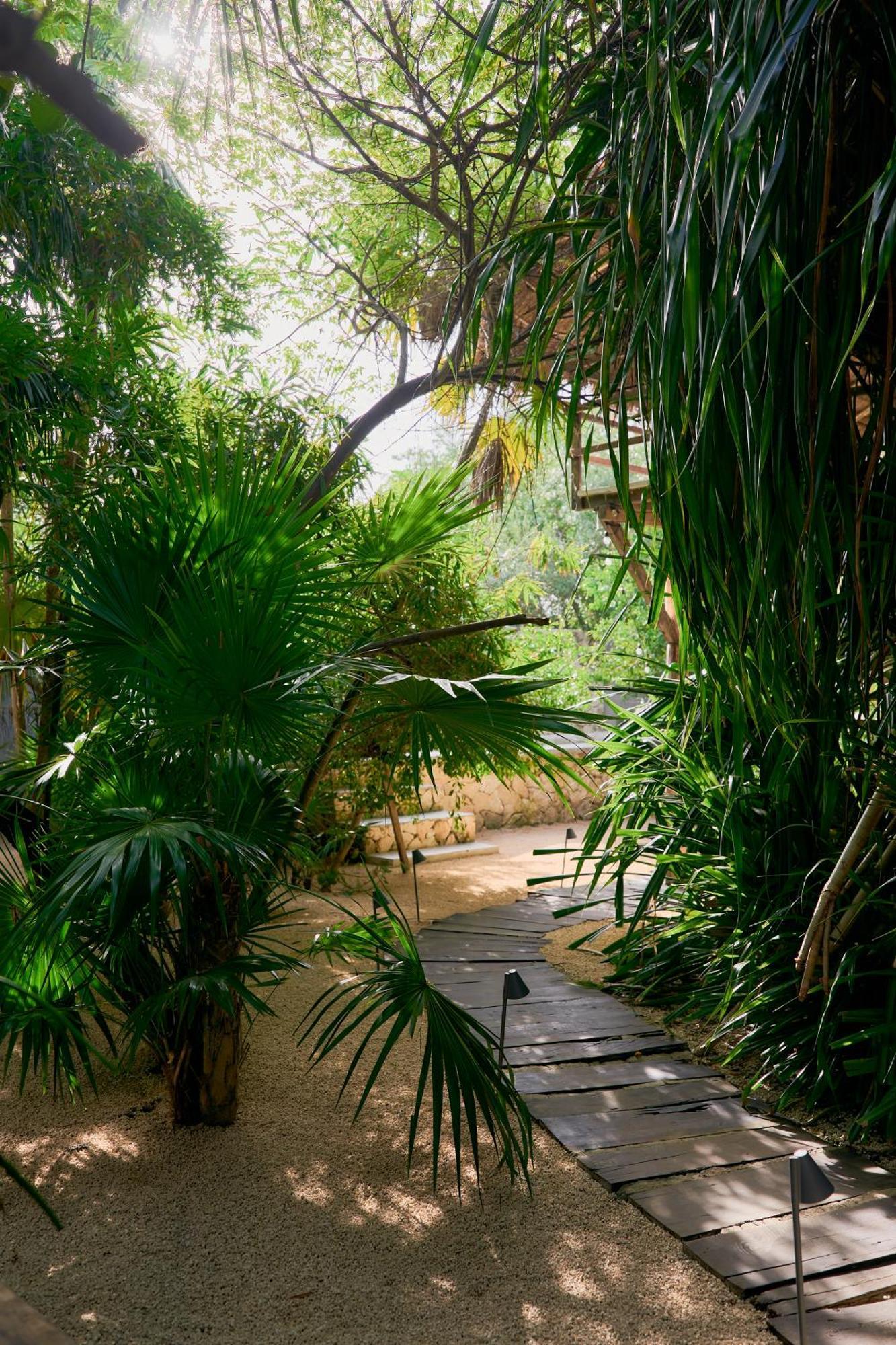 Amor Rooms Tulum Exteriör bild